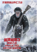 网站SEO诊断与优化指导全网SEO培训实用工具推荐